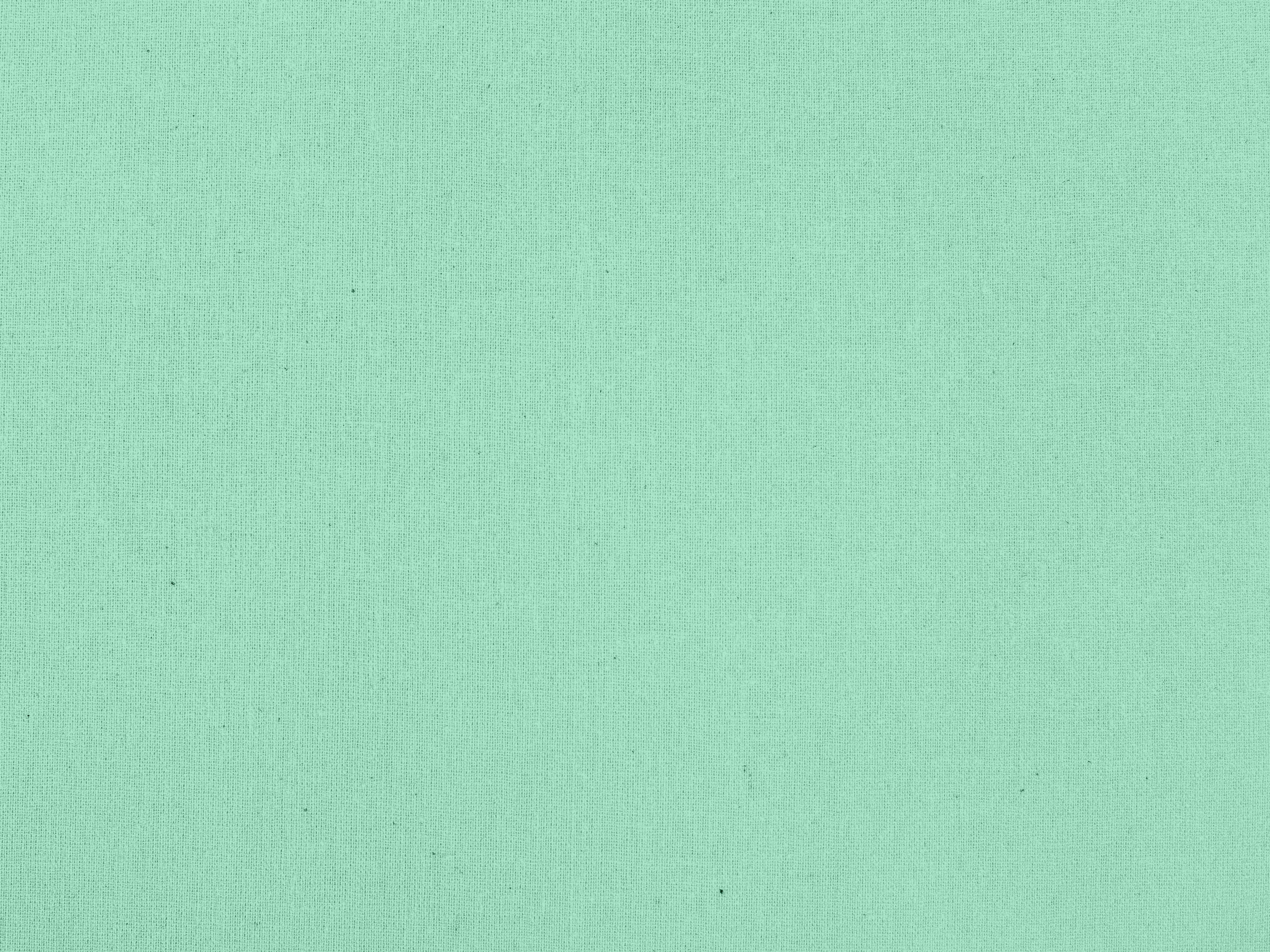 Bavlněná látka plátno SUZY mintová značky ŠKODÁK.