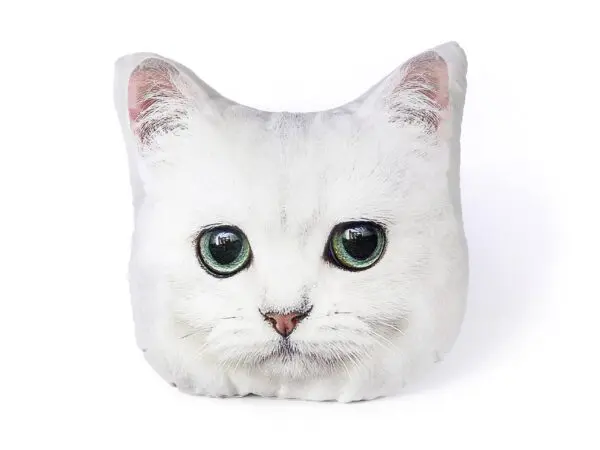 Dětský 3D polštářek kočka bílá značky Škodák