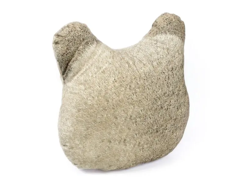 Dětský 3D polštářek medvídek značky Škodák