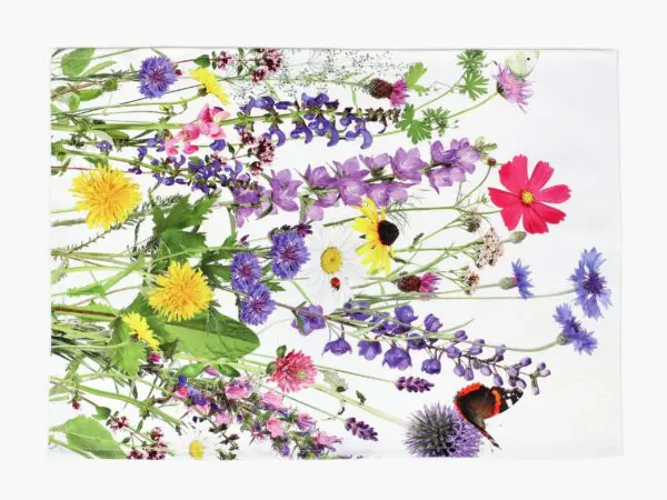 Keprová utěrka louka beruška značky Škodák