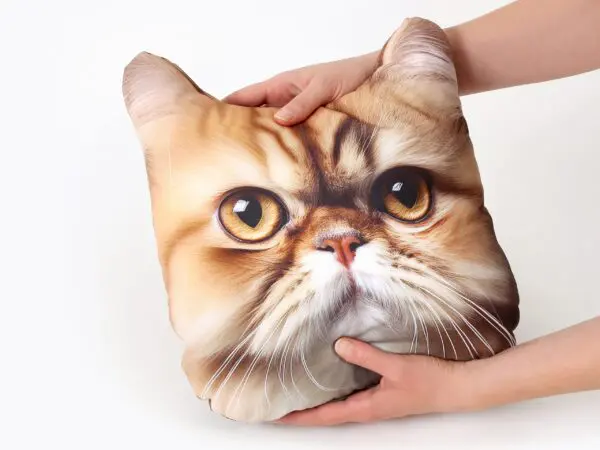 Dětský dekorační polštář 3D kočka perská 30x25 cm značky Škodák.
