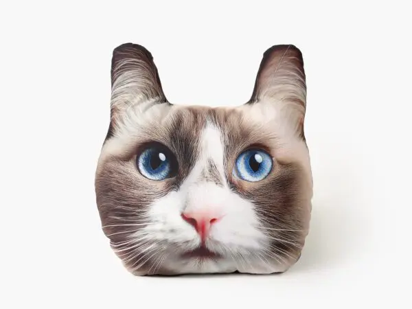 Dětský dekorační polštář 3D kočka ragdoll 25x20 cm značky Škodák.