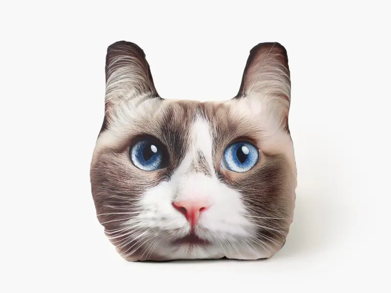 Dětský dekorační polštář 3D kočka ragdoll 25x20 cm značky Škodák.