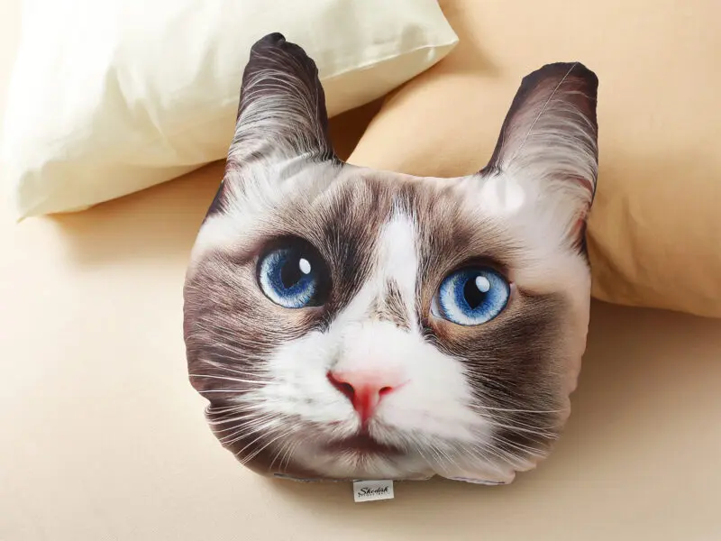 Dětský dekorační polštář 3D kočka ragdoll 25x20 cm značky Škodák.