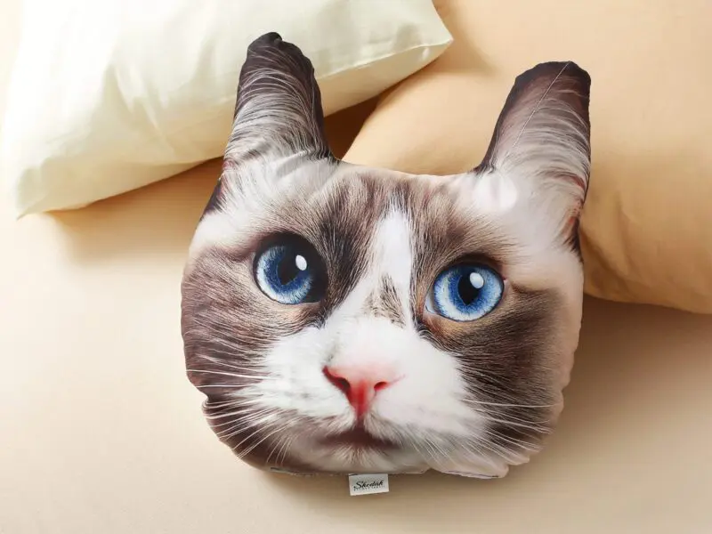Dětský dekorační polštář 3D kočka ragdoll 25x20 cm značky Škodák.