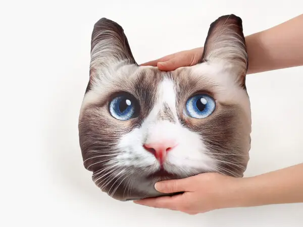Dětský dekorační polštář 3D kočka ragdoll 25x20 cm značky Škodák.