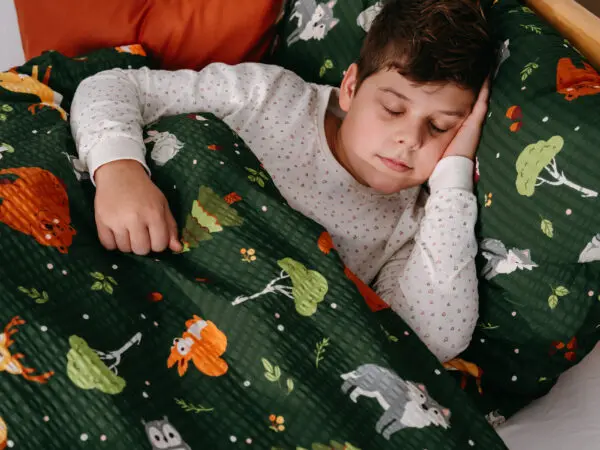 Dětské krepové povlečení Řáholecký les na tmavě zelené