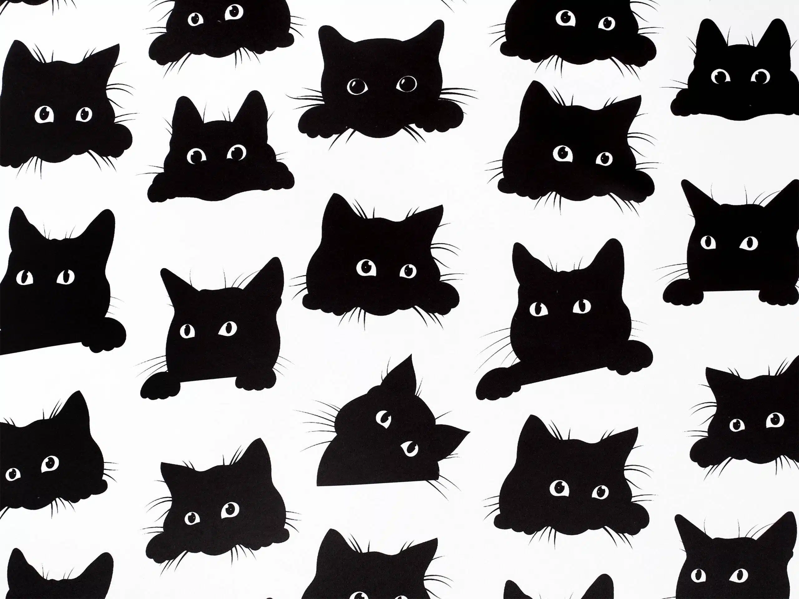 Zatemňovací látka Dimout černé kočky metráž Škodák