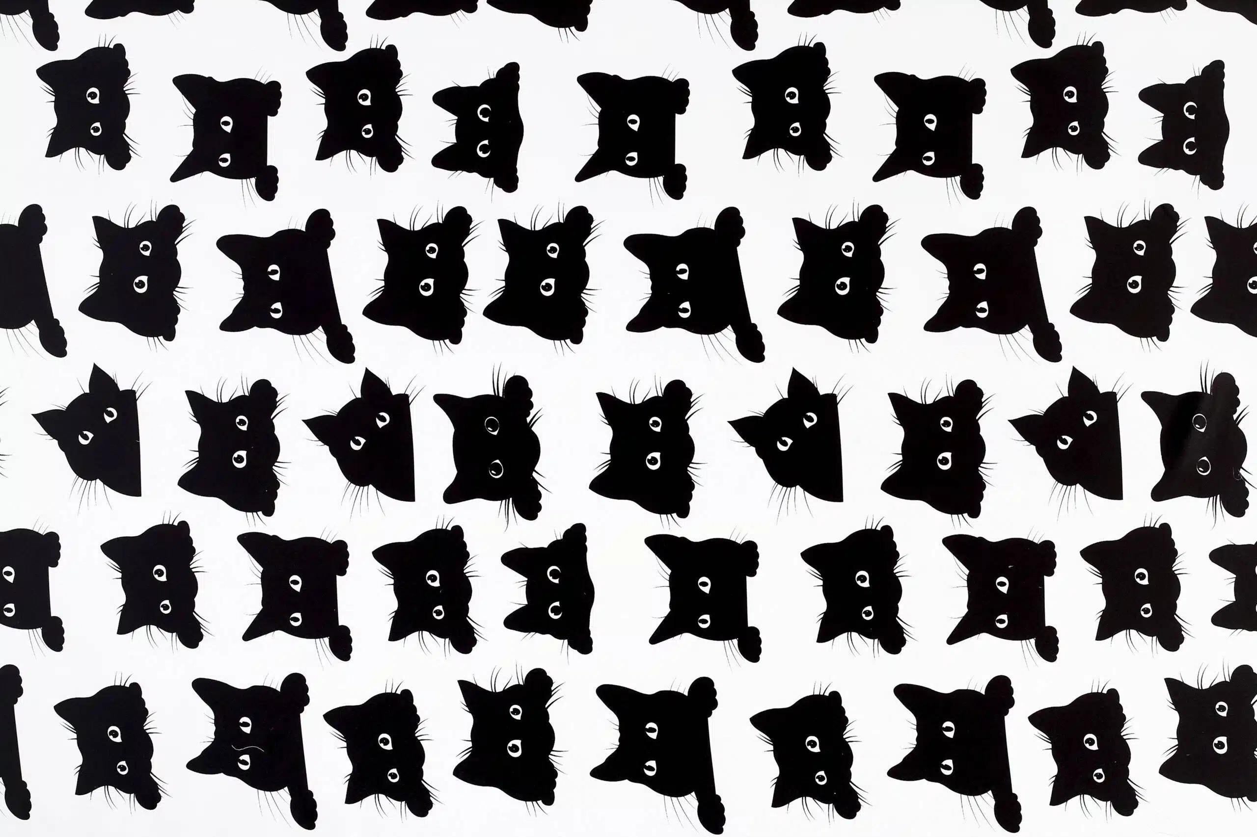 Zatemňovací látka Dimout černé kočky metráž Škodák