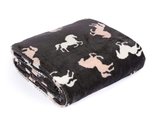 Dětská deka Mikrovlákno koník na hnědé značky Škodák.