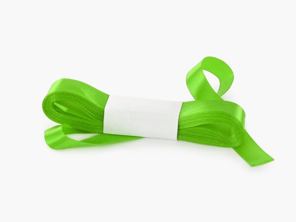 Stuha taftová světle zelená značky Škodák.